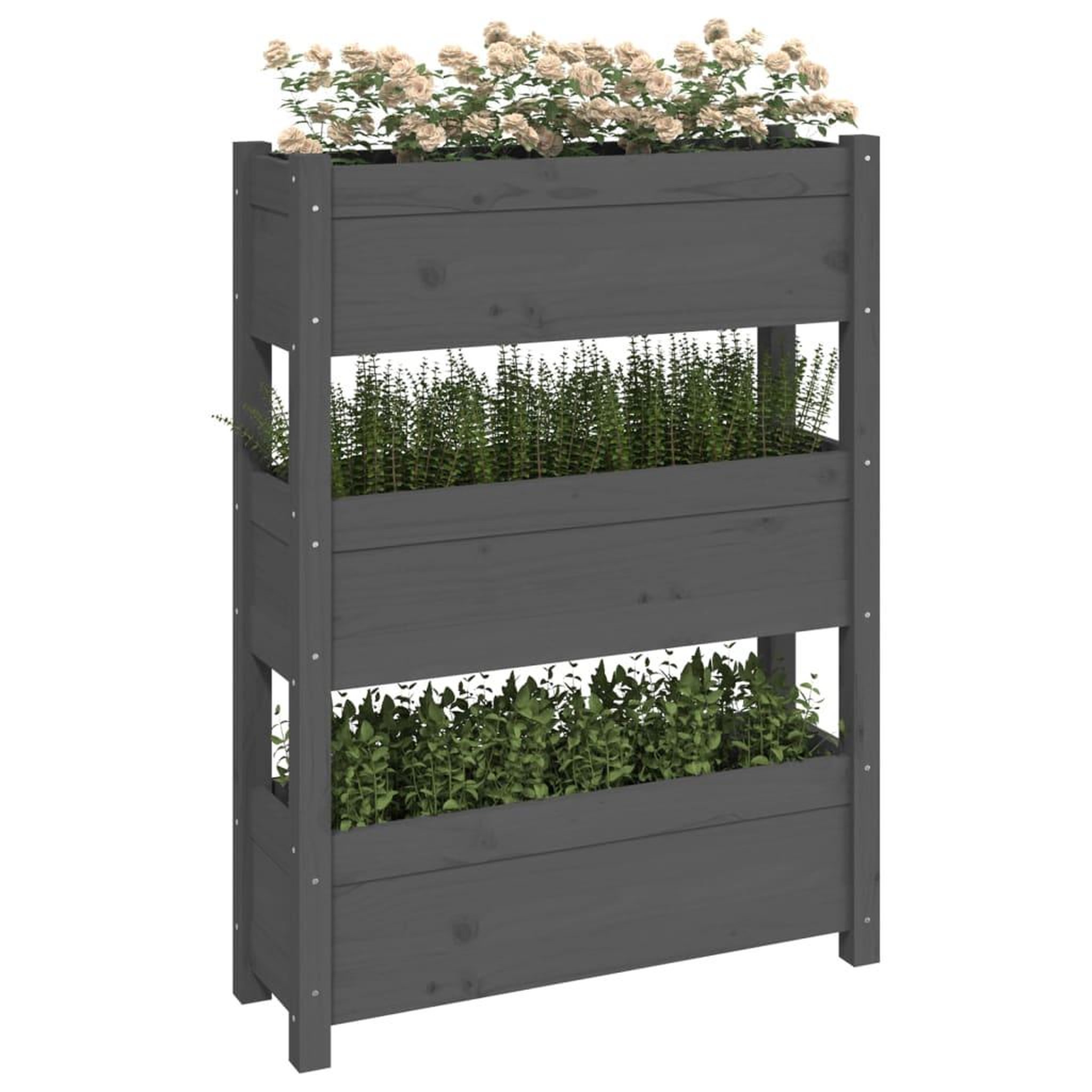 Voir la diapositive 4 : VIDAXL Jardiniere Gris 77x25x104,5 cm Bois massif de pin