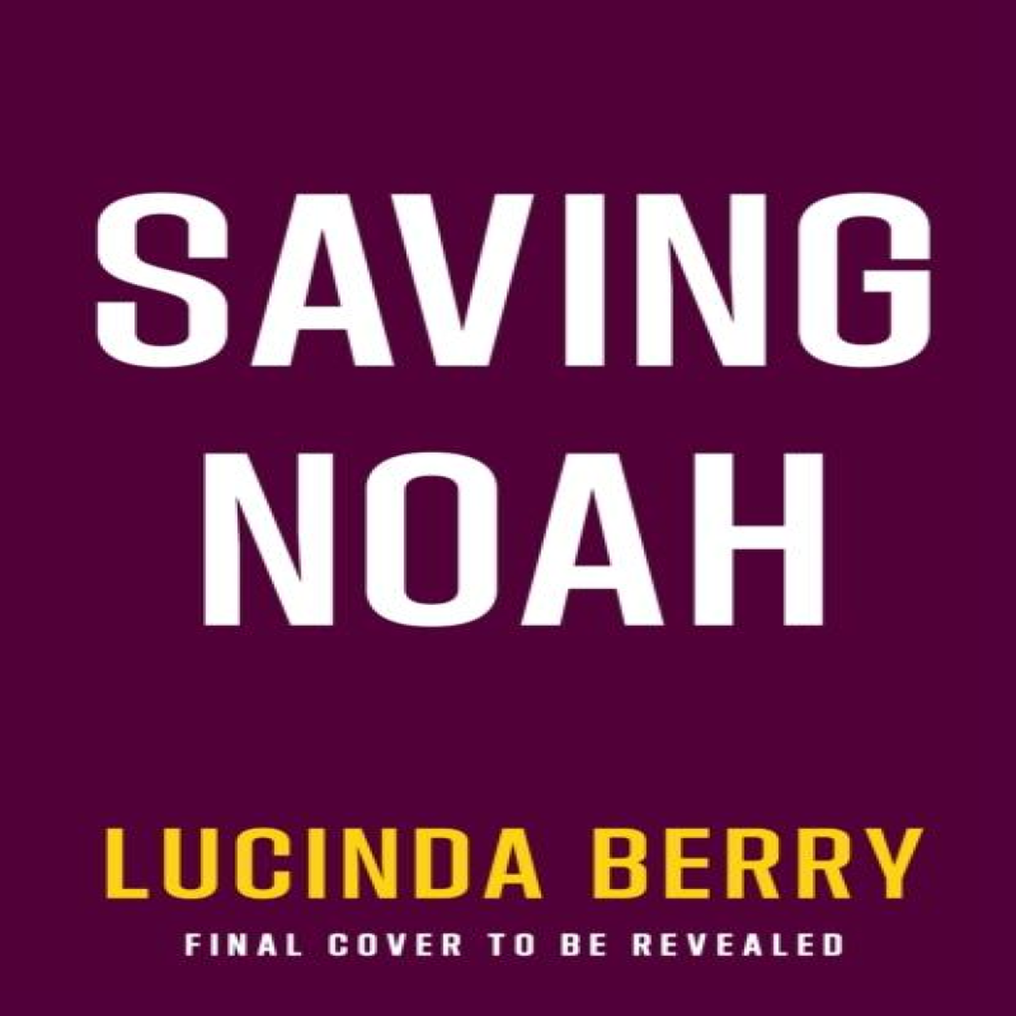 LIVRES Saving Noah - Lucinda Berry