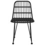 Voir la diapositive 4 : VIDAXL Chaises de jardin lot de 2 Noir 48x62x84 cm Resine tressee