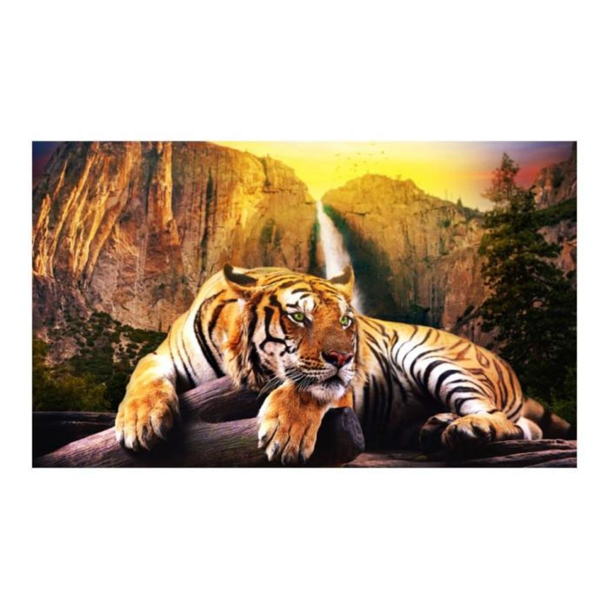 Paris Prix Papier Peint  Beauty & the Beast II  450x270cm