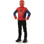 Voir la diapositive 2 : RUBIES Déguisement Set plastron Spiderman