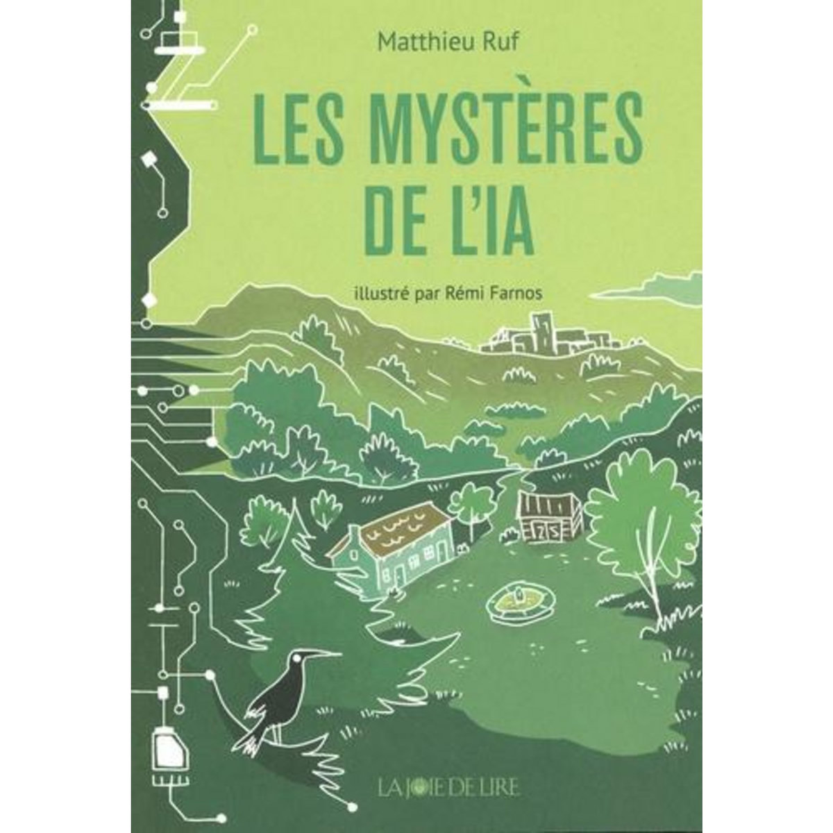 LES MYSTERES DE L'IA, Ruf Matthieu