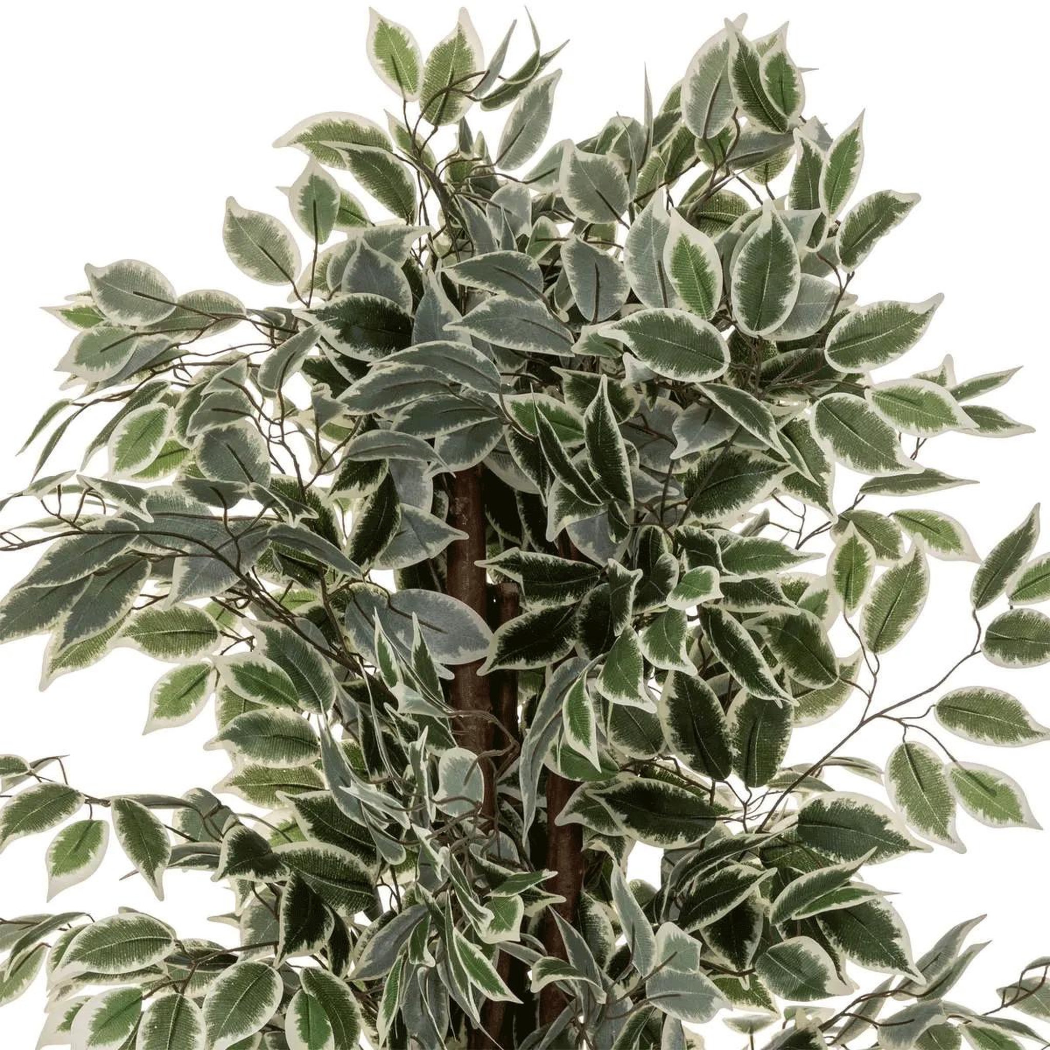 Voir la diapositive 2 : ATMOSPHERA Plante artificielle  ficus  180cm vert