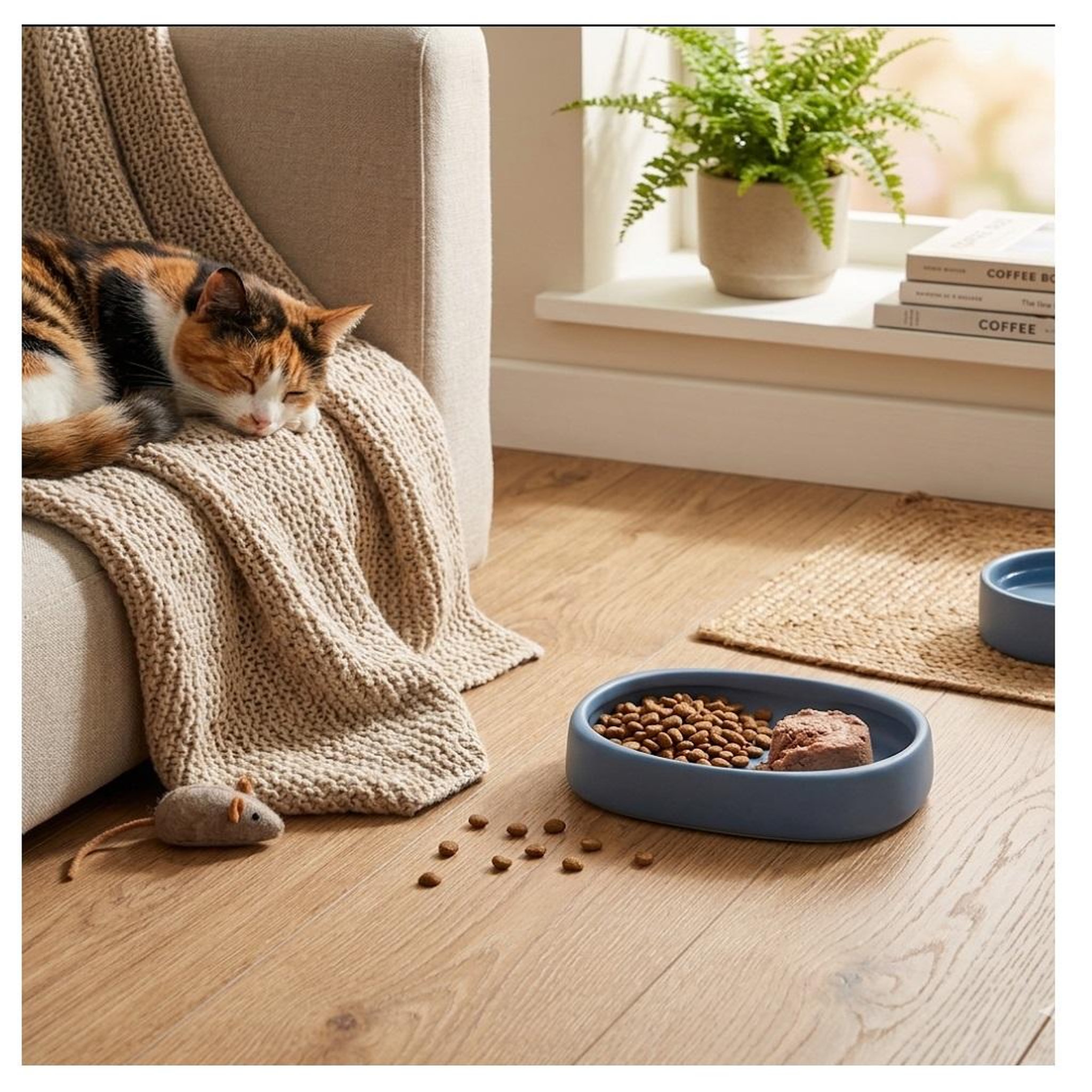 Voir la diapositive 2 : Eden Gamelle ronde pour chat nourriture et eau zara