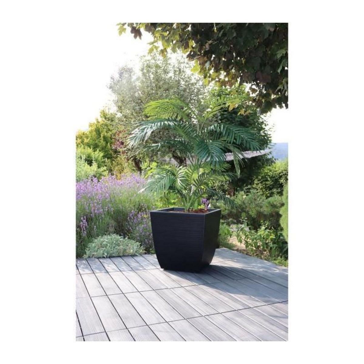 Eda Pot de fleur Stone Diva carré avec bac amovible 43,5 x 44,2 cm- Eda