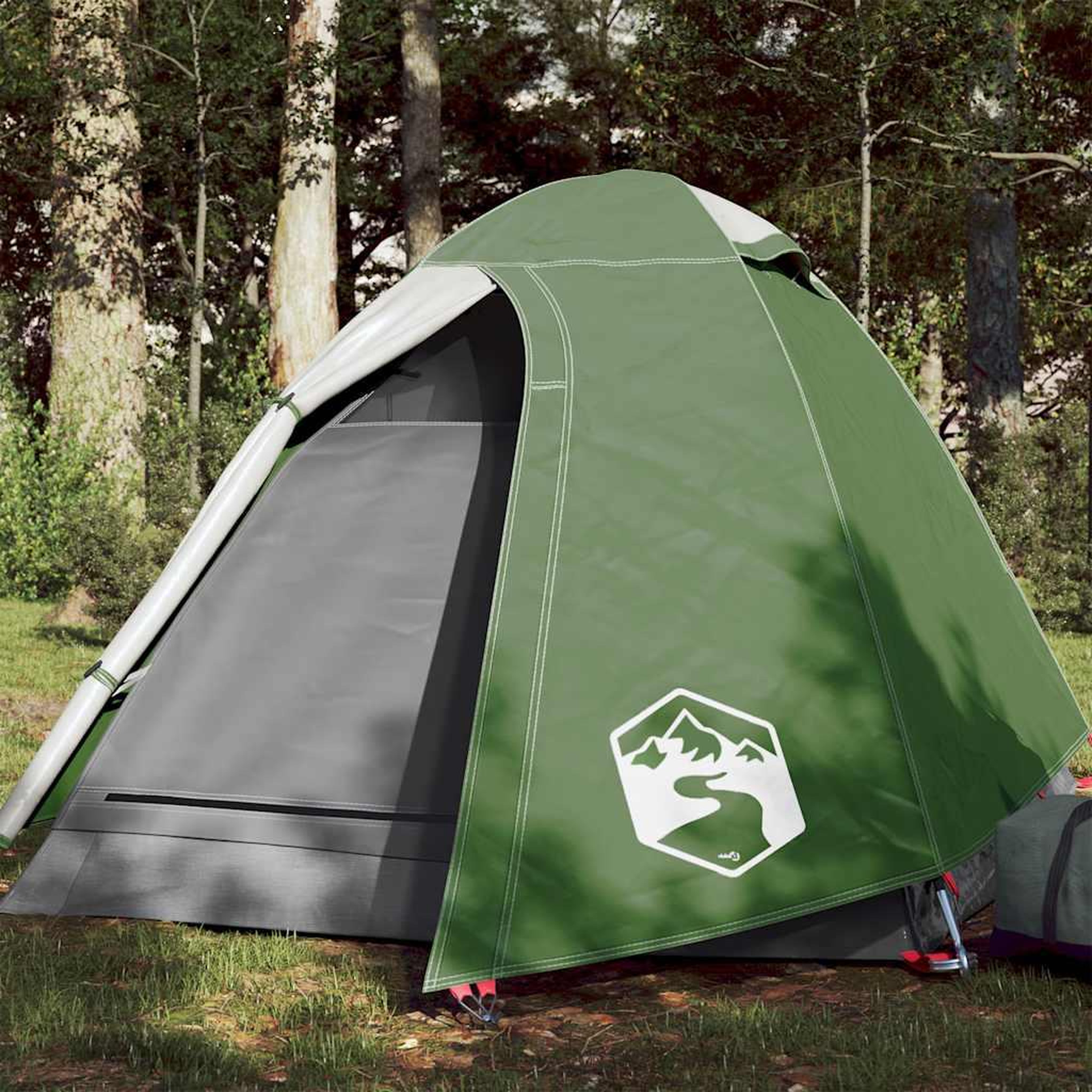 VIDAXL Tente de camping a dome 2 personne vert impermeable