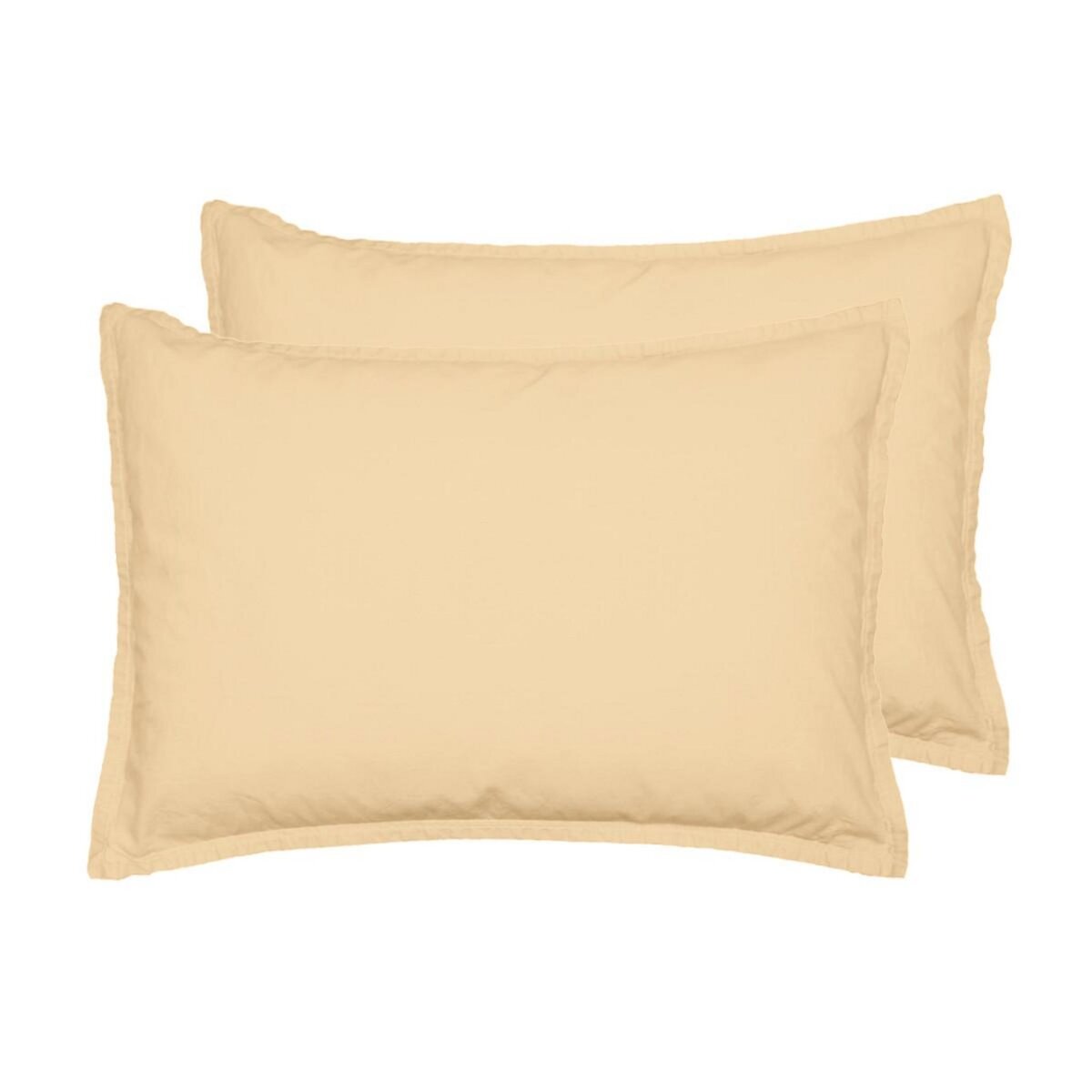 Sensei Maison Lot de 2 taies d'oreiller en coton STUDIO