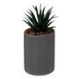 Voir la diapositive 1 : ATMOSPHERA Plante Artificielle en Pot  Joy  20cm Gris