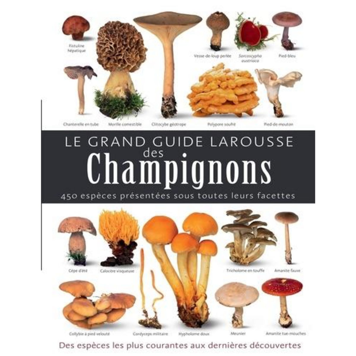 LE GRAND GUIDE LAROUSSE DES CHAMPIGNONS, Laessoe Thomas pas cher — free download