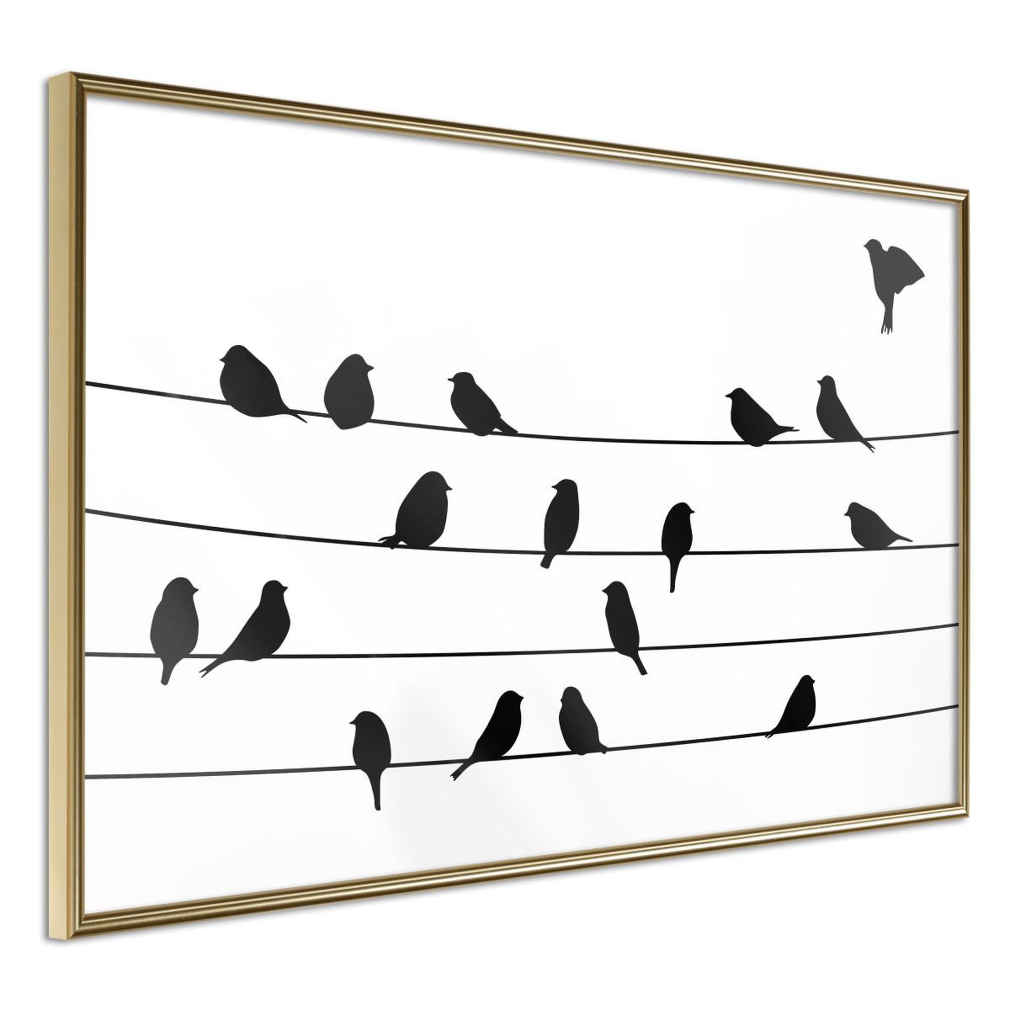 Paris Prix Affiche Murale Encadrée  Birds Council Meeting