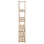 Voir la diapositive 3 : VIDAXL Etagere de stockage 5 niveaux 170x28,5x170cm Bois de pin massif