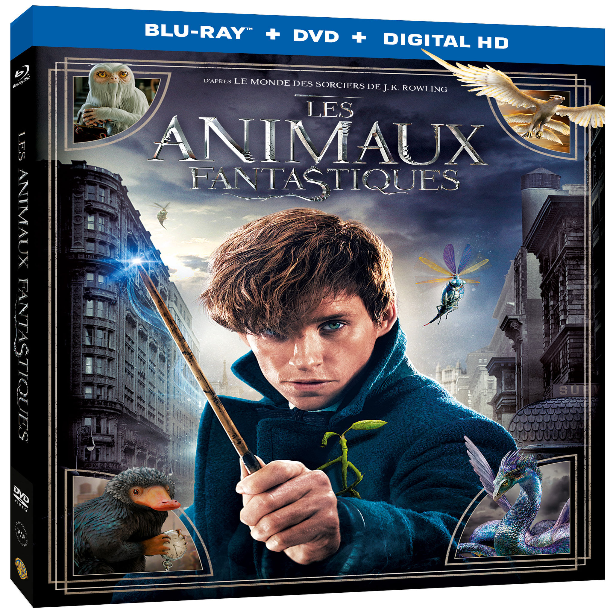 Les Animaux fantastiques - Blu ray + DVD
