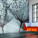 Paris Prix Papier Peint  Pissenlit Bleu Turquoise. Coloris disponibles : Multicolore