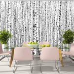 Paris Prix Papier Peint  Birch Forest. Coloris disponibles : Multicolore