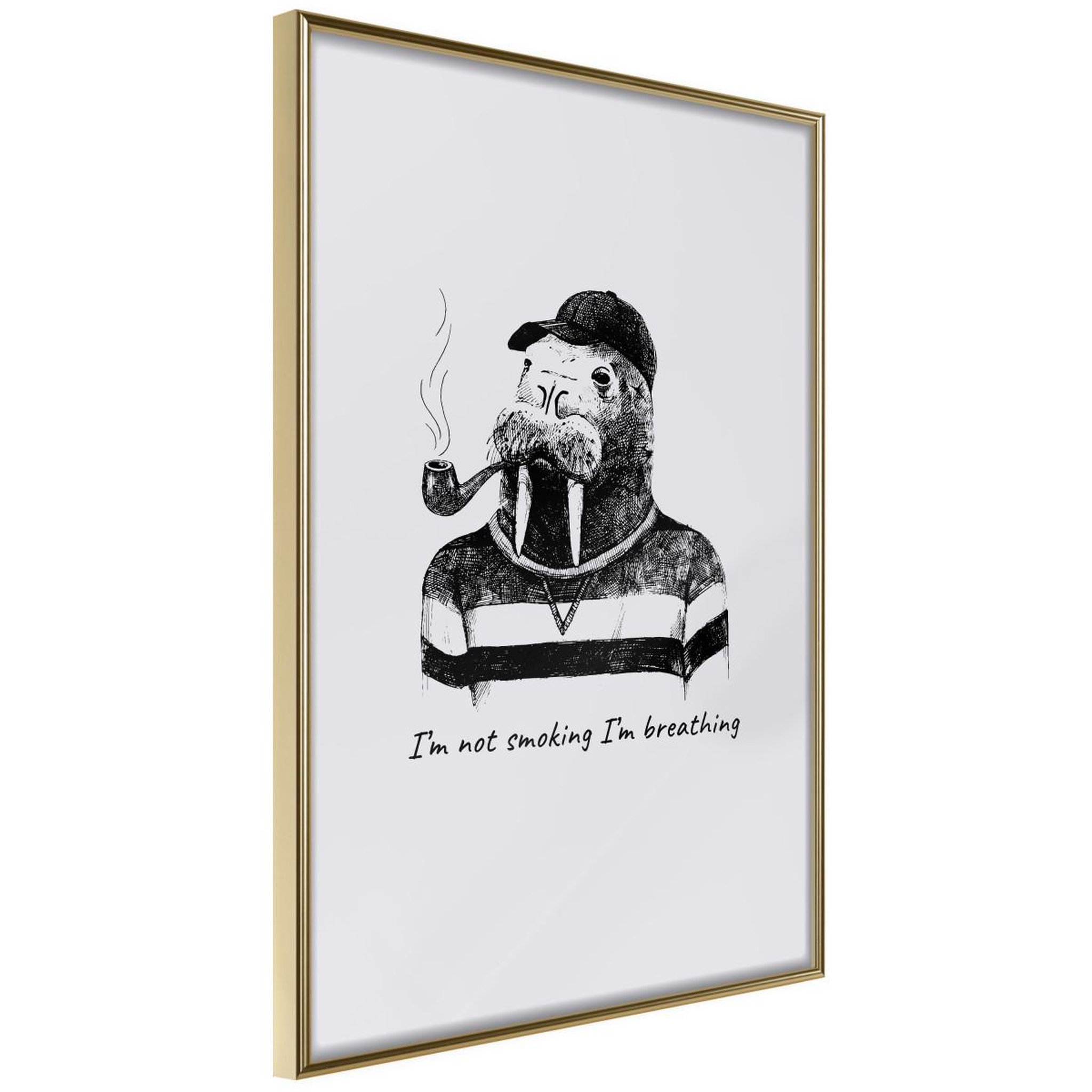 Paris Prix Affiche Murale Encadrée  Captain Walrus