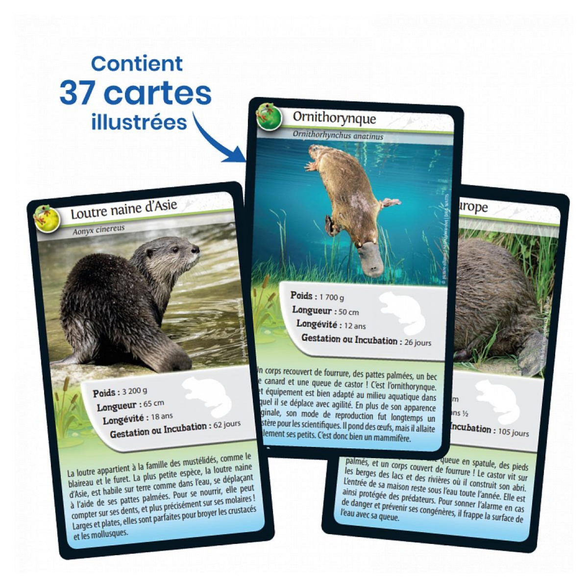 Bioviva Défis nature animaux d'eau douce