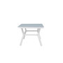 Voir la diapositive 2 : Paris Prix Table de Jardin  Virya  200cm Blanc & Gris