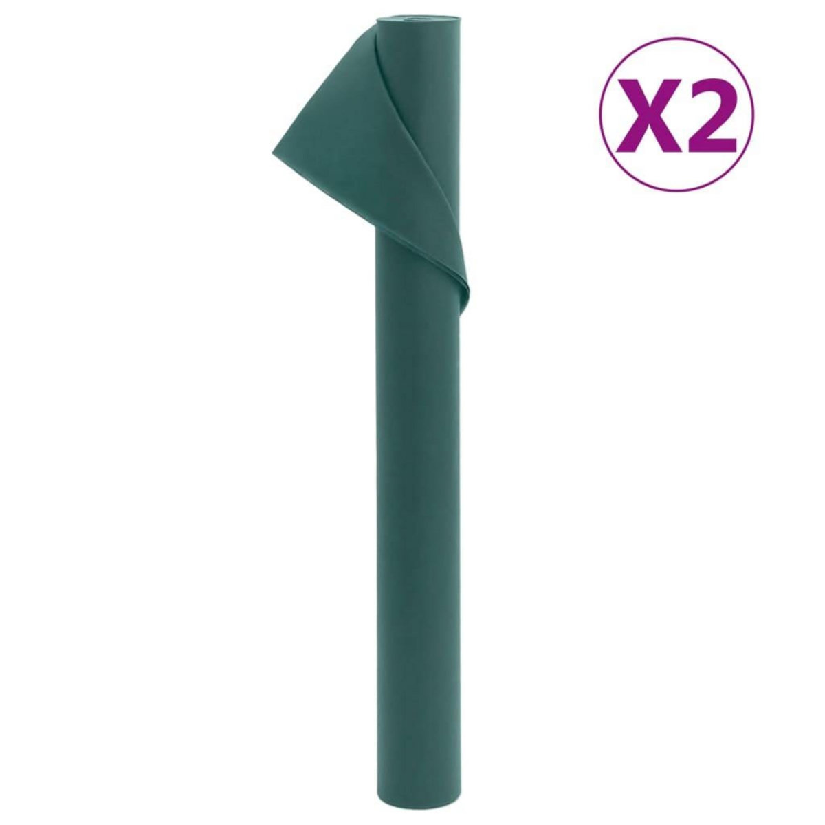 VIDAXL Toison vegetale 2 rouleaux 70 g/m² 10x1,6 m