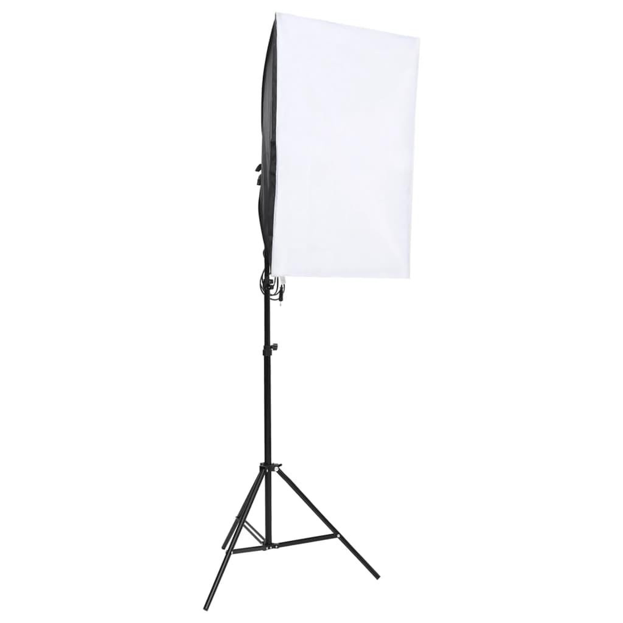 Voir la diapositive 3 : VIDAXL Kit de studio photo avec eclairage et toile de fond