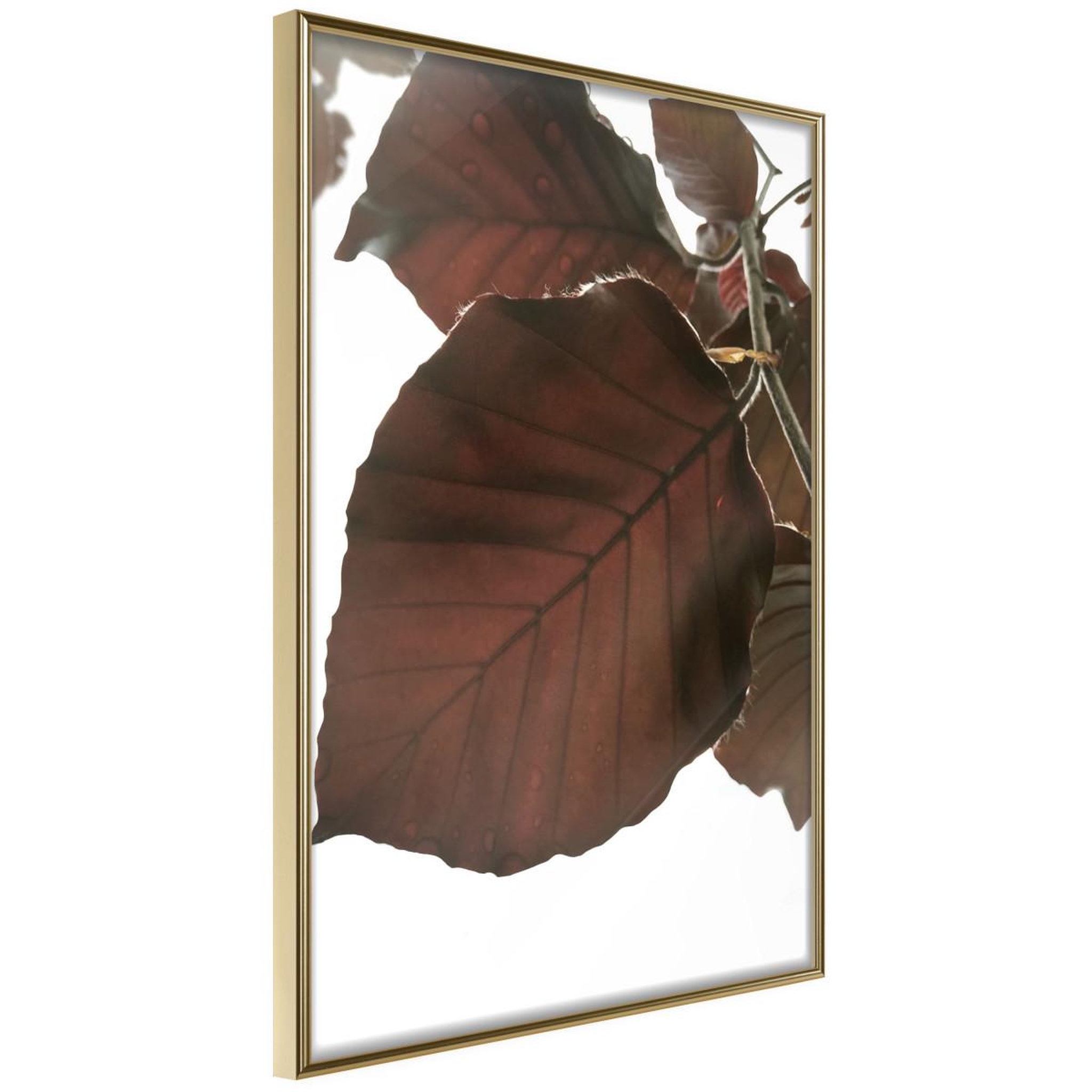 Voir la diapositive 1 : Paris Prix Affiche Murale Encadrée  Burgundy Tilia Leaf