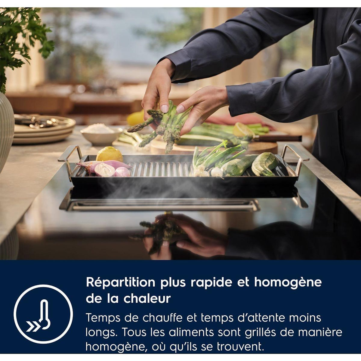 ELECTROLUX ACCESSOIRE Plancha grill pour four et table E9HHPG11