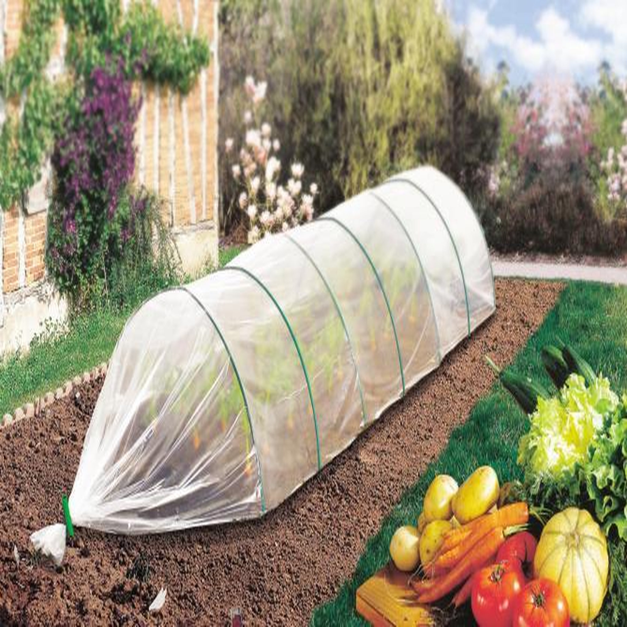 Nortene Film de forçage CLIMAFILM 2x5m