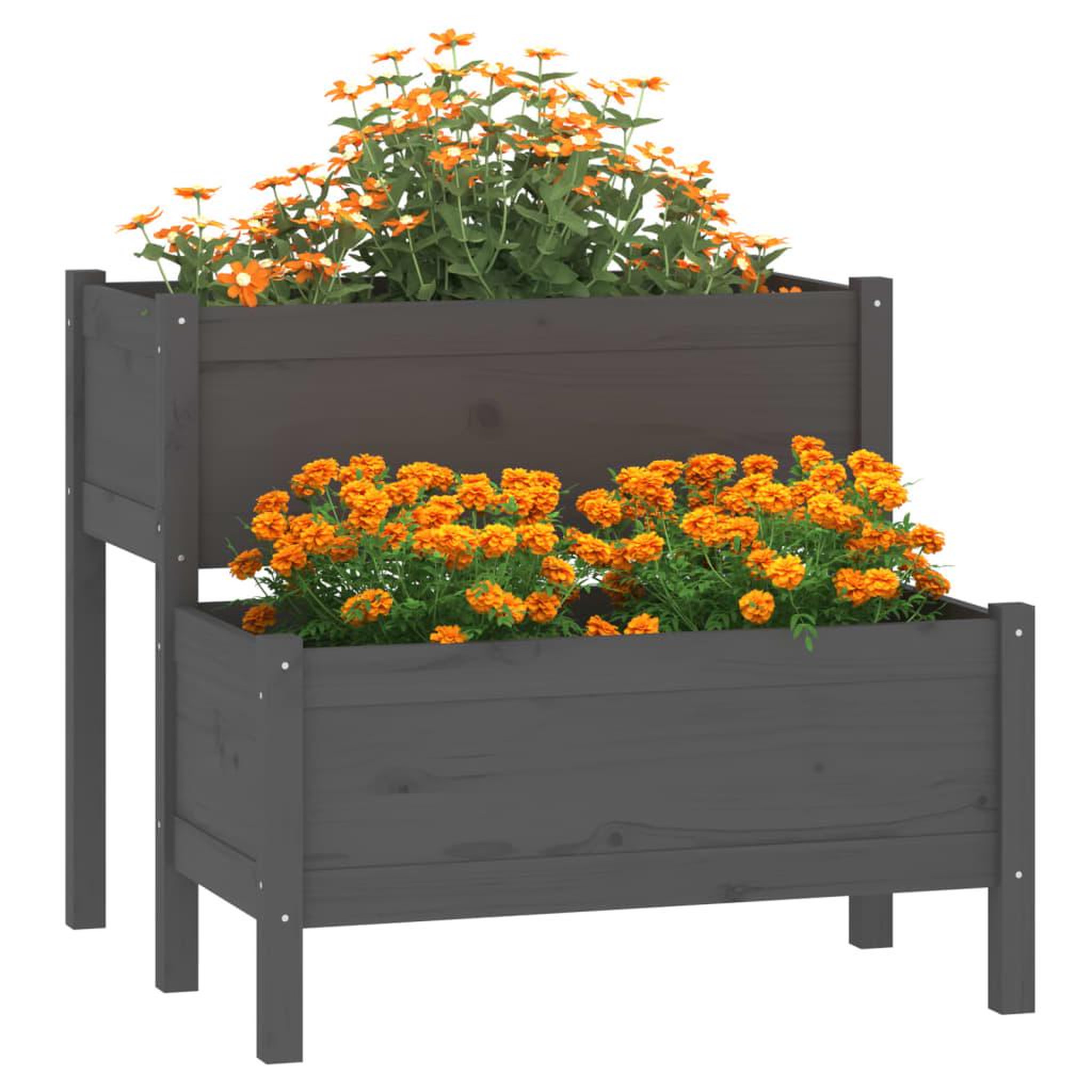 Voir la diapositive 3 : VIDAXL Jardiniere Gris 84,5x84x75 cm Bois massif de pin