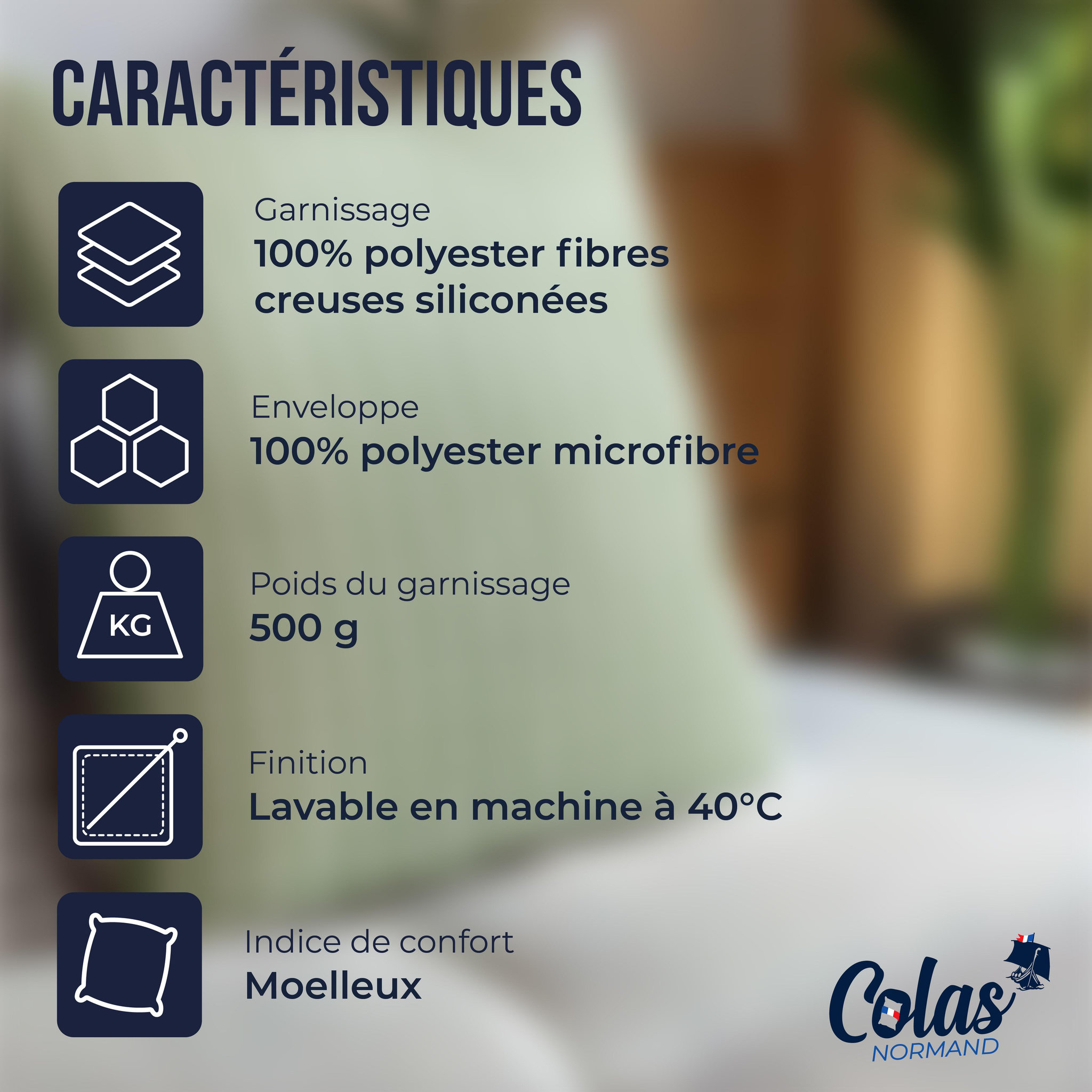 Voir la diapositive 3 : COLAS NORMAND Oreiller moelleux aux motifs vichy 60x60 cm