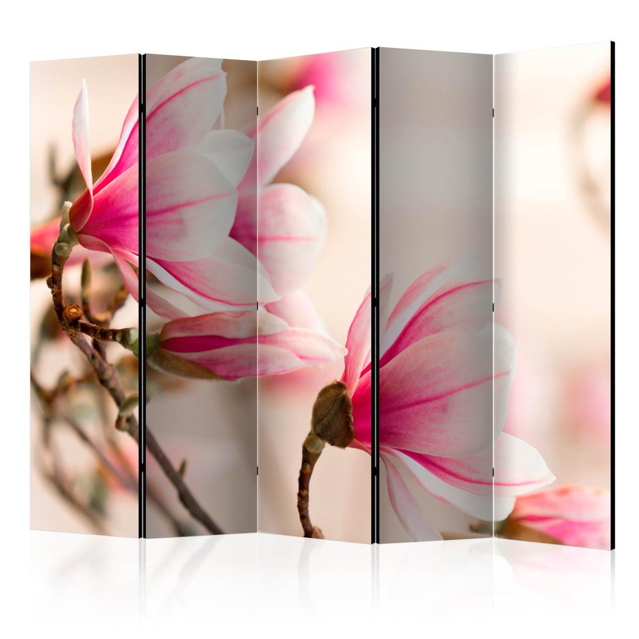 Paris Prix Paravent 5 volets  branch of magnolia tree  172x225cm