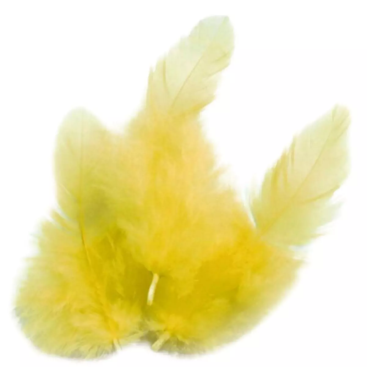 Graine créative 140 plumes de coq jaunes 10 cm