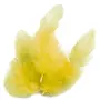Graine créative 140 plumes de coq jaunes 10 cm