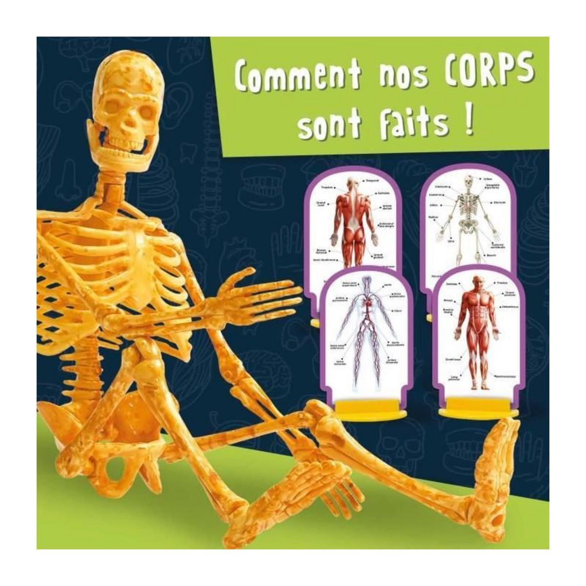 LISCIANI GIOCHI Découverte du corps humain - Kit Scientifique - I'M A GENIUS POCKET - Modele 3D