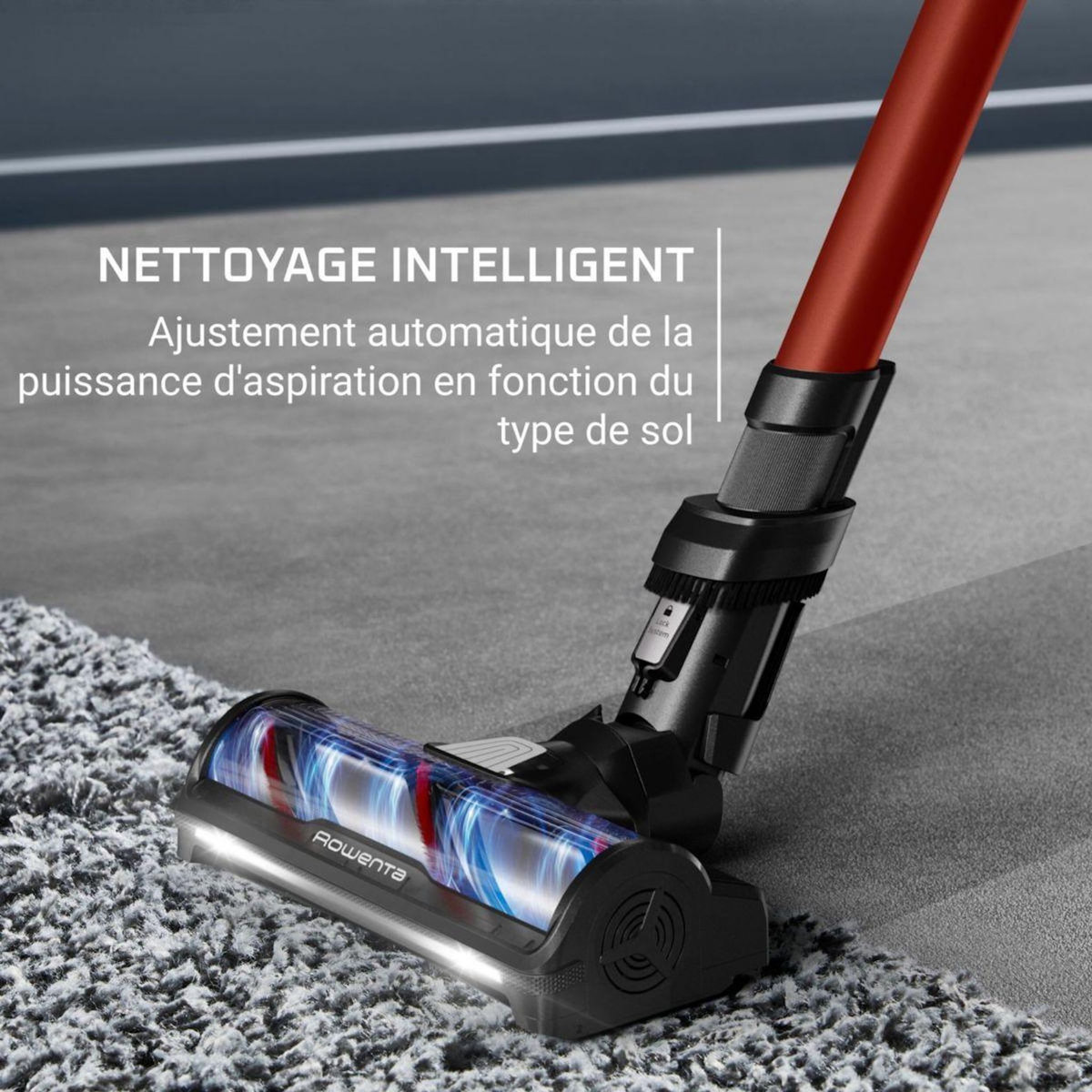 ROWENTA Aspirateur balai X Force Flex 13.60 animal RH9A73WO