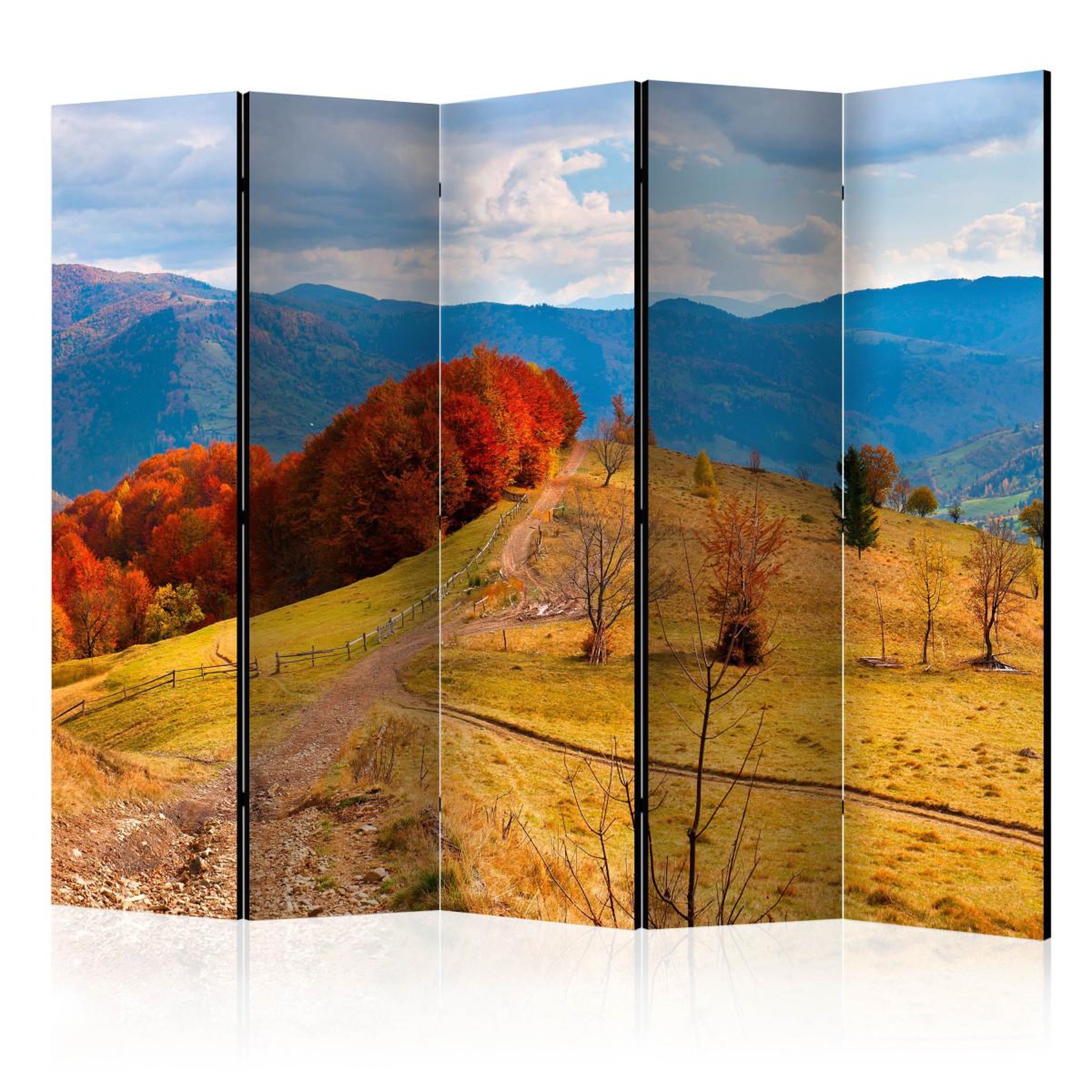 Paris Prix Paravent 5 volets  autumn landscape in the carpathian mountains  172x225cm