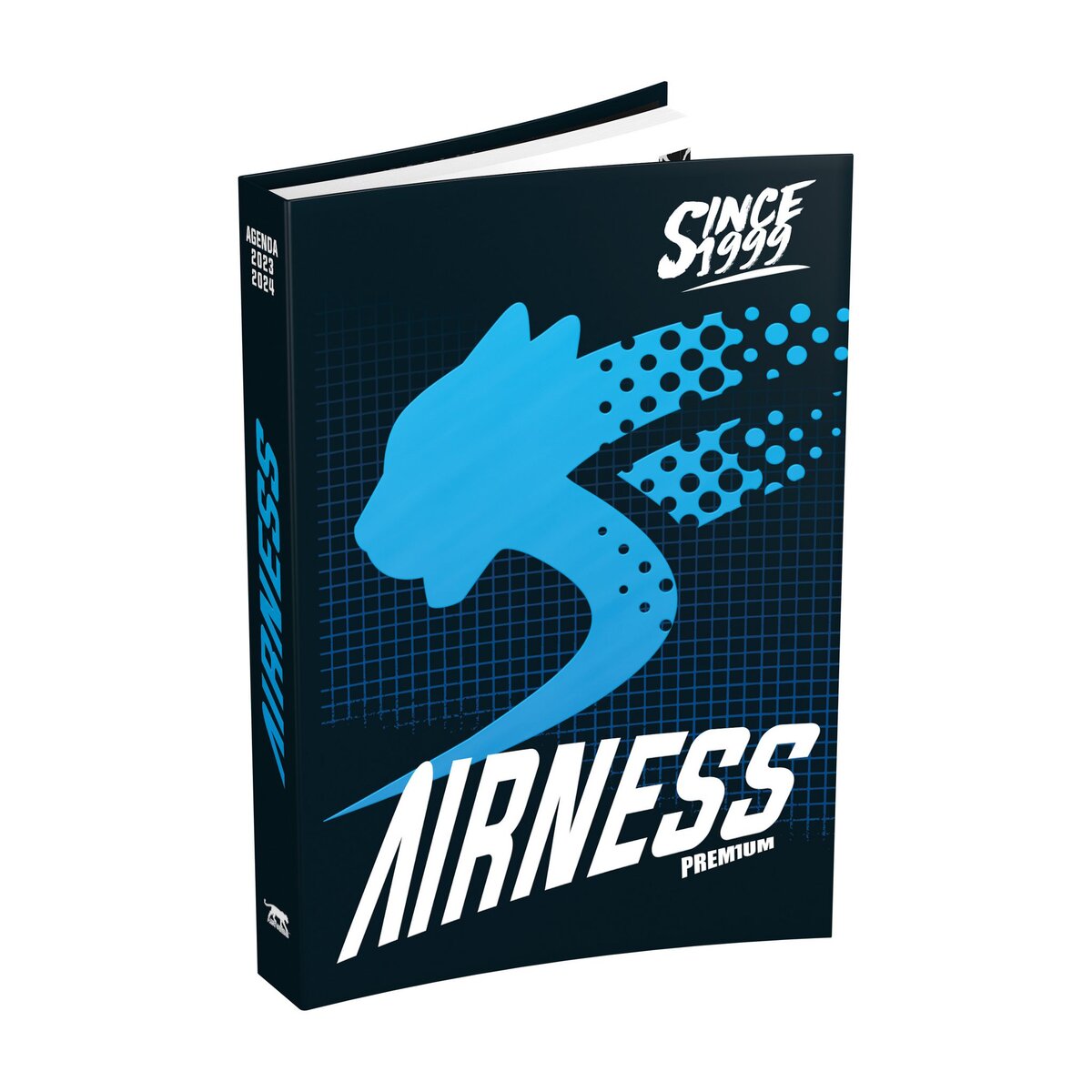 AIRNESS Agenda scolaire journalier coloris aléatoire 2023-2024