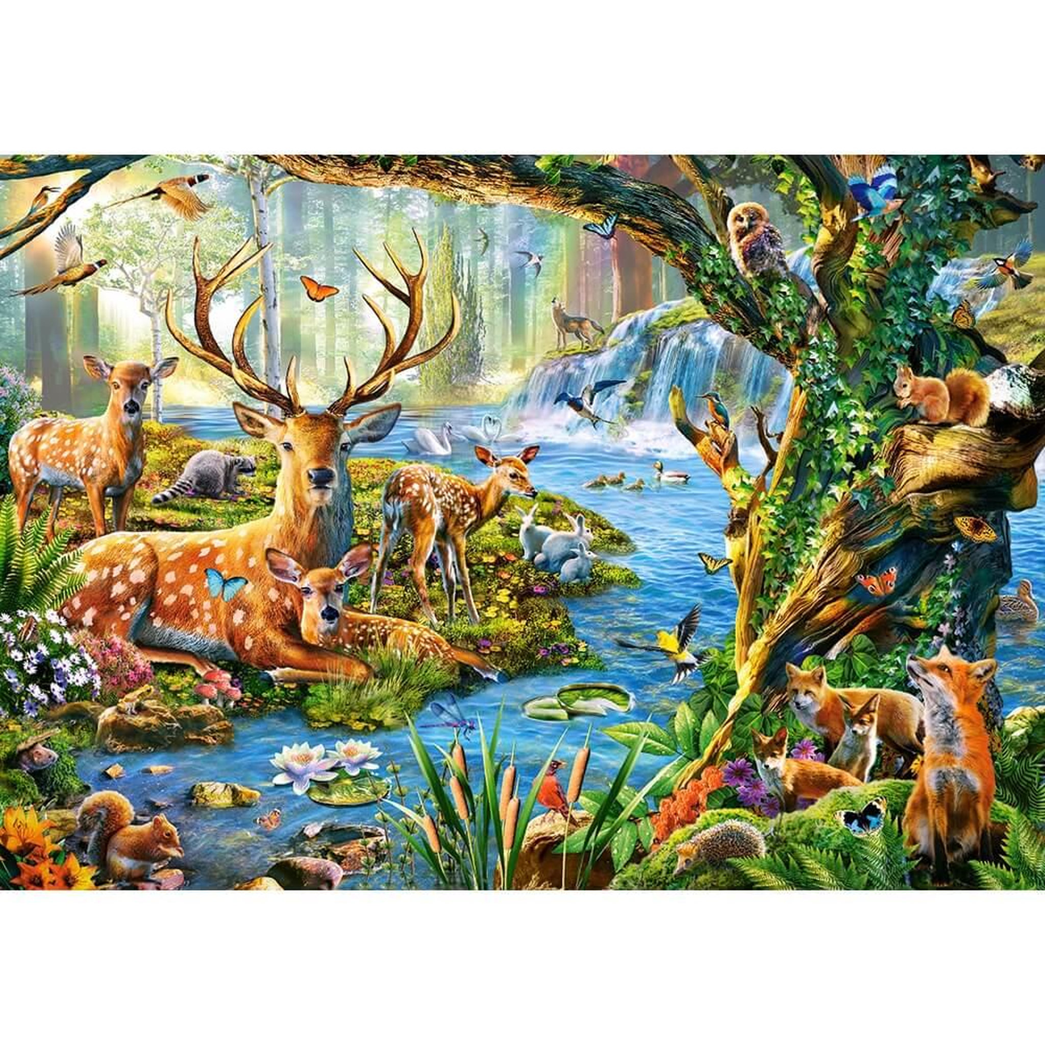 Castorland Puzzle 500 pièces : la vie de la forêt
