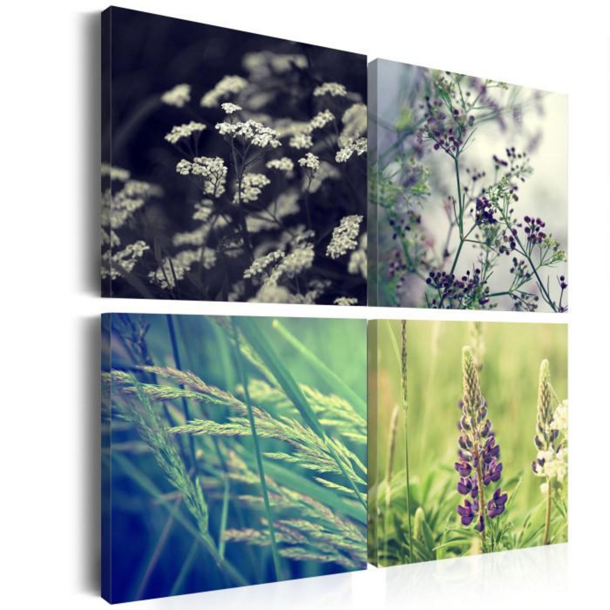 Paris Prix Tableau Imprimé  Champ Magique