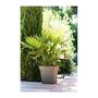 Voir la diapositive 3 : Eda Pot de fleur carré Toscane 49,5 x H.52,5 cm - Taupe - Eda