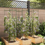 Voir la diapositive 3 : VIDAXL Cages a tomates 6 pcs 154 cm acier et PP
