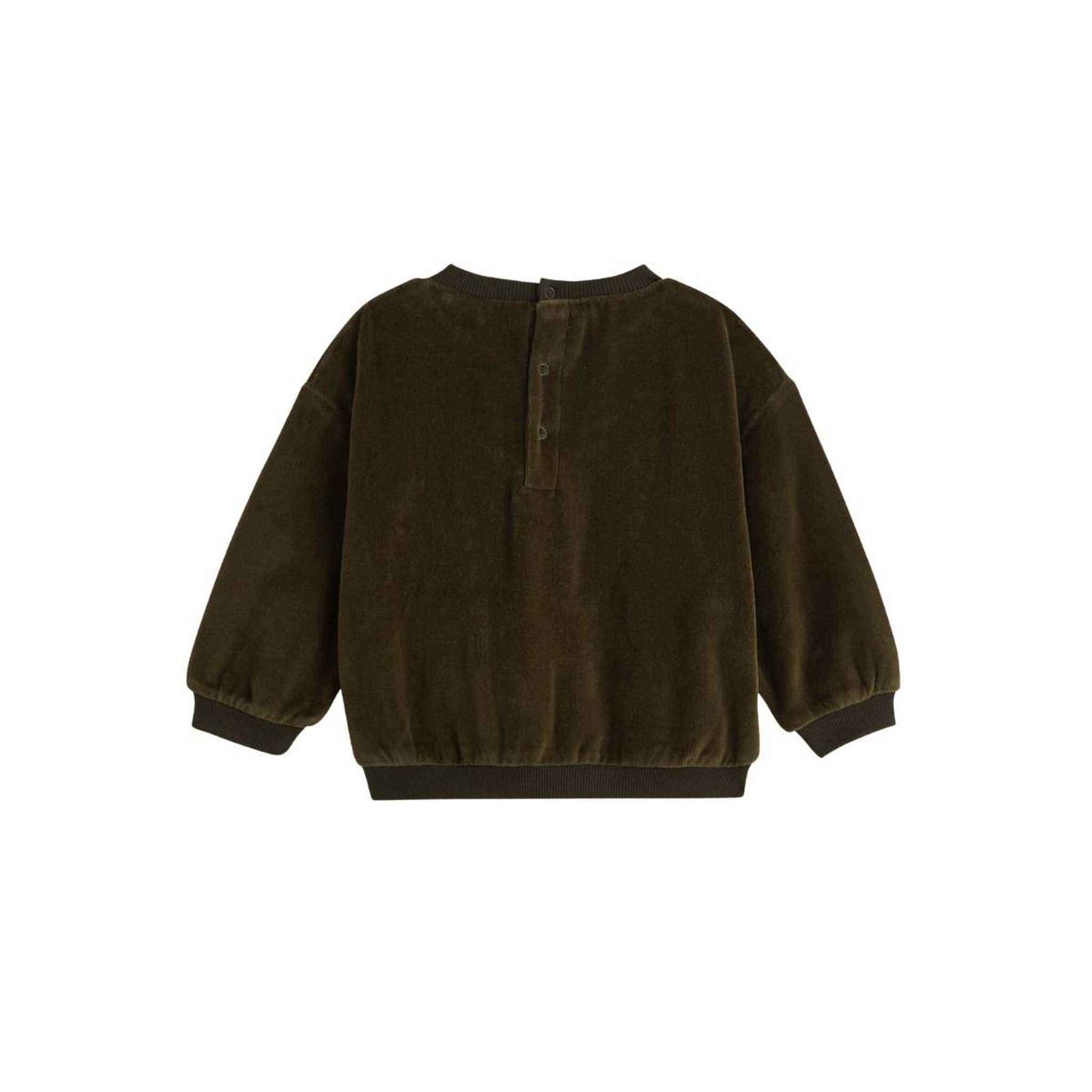 Voir la diapositive 2 : PETIT BEGUIN Sweat-shirt bébé en velours ginkgo