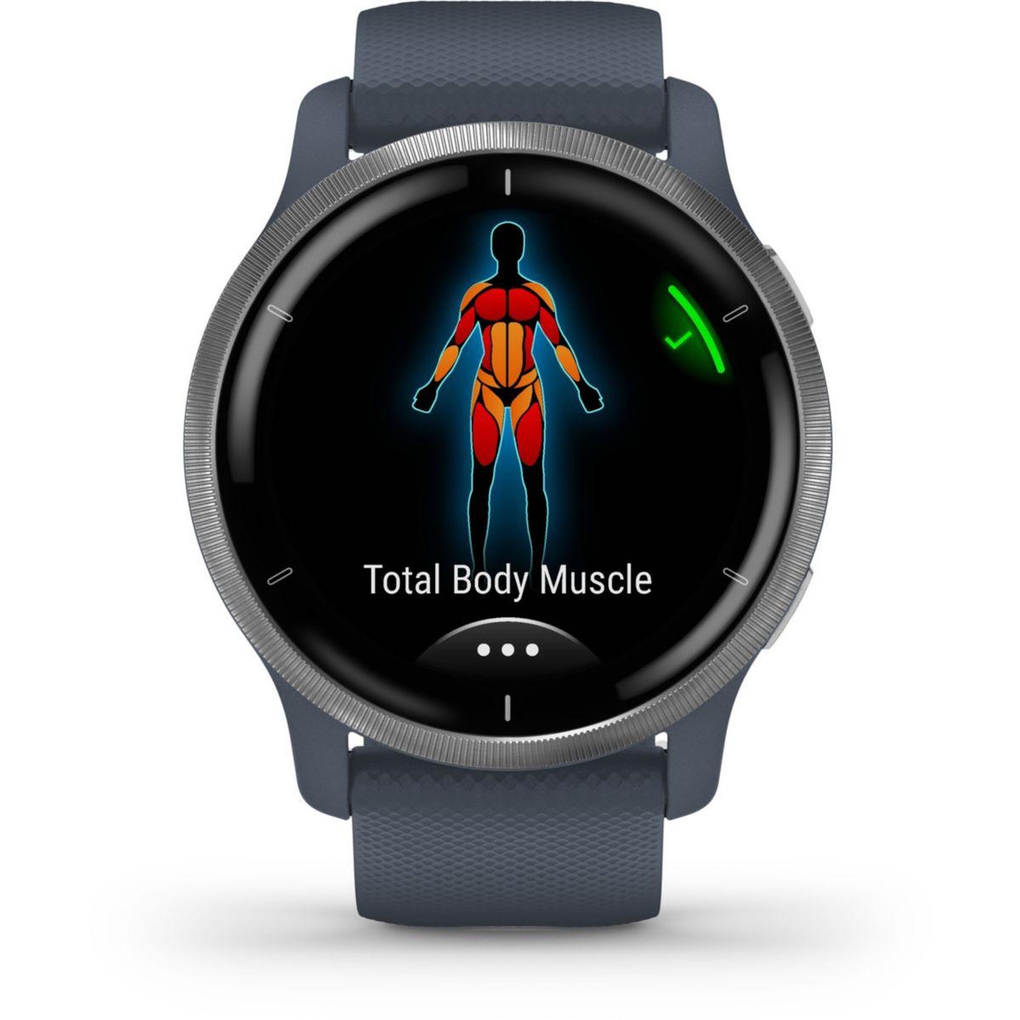 Voir la diapositive 5 : GARMIN Montre sport Venu 2 Silver avec bracelet bleu gris