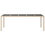 Voir la diapositive 3 : VIDAXL Table de jardin Beige 250x100x75 cm Verre trempe et poly rotin