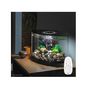 Voir la diapositive 2 : Oase Aquarium long 15l contours noir - Loop 15 MCR black