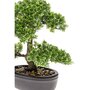 EMERALD Emerald Mini bonsaï Ficus artificiel Vert 32 cm 420002
