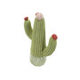 Voir la diapositive 3 : Paris Prix Cactus Déco en Résine  Jeffery  25cm Vert