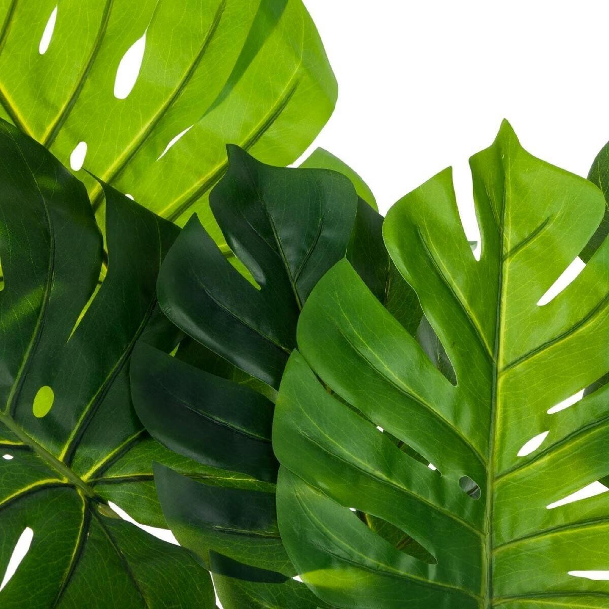 Voir la diapositive 2 : ATMOSPHERA Plante artificielle en pot  philodendron  110cm vert