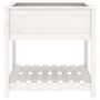 Voir la diapositive 5 : VIDAXL Jardiniere avec etagere Blanc 82,5x82,5x81cm Bois massif de pin
