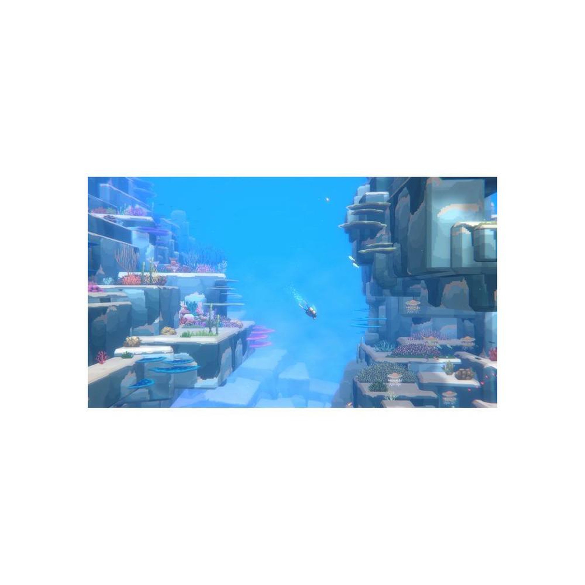 Voir la diapositive 3 : Just for games Dave the Diver - Complete Edition jeu Nintendo Switch 2 physique + DLC