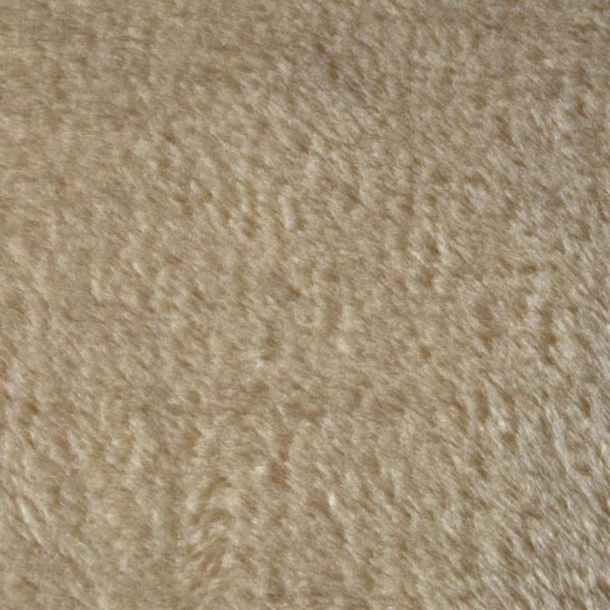 Paris Prix Arbre à Chat avec Tunnel  1 Plateforme  38cm Écru