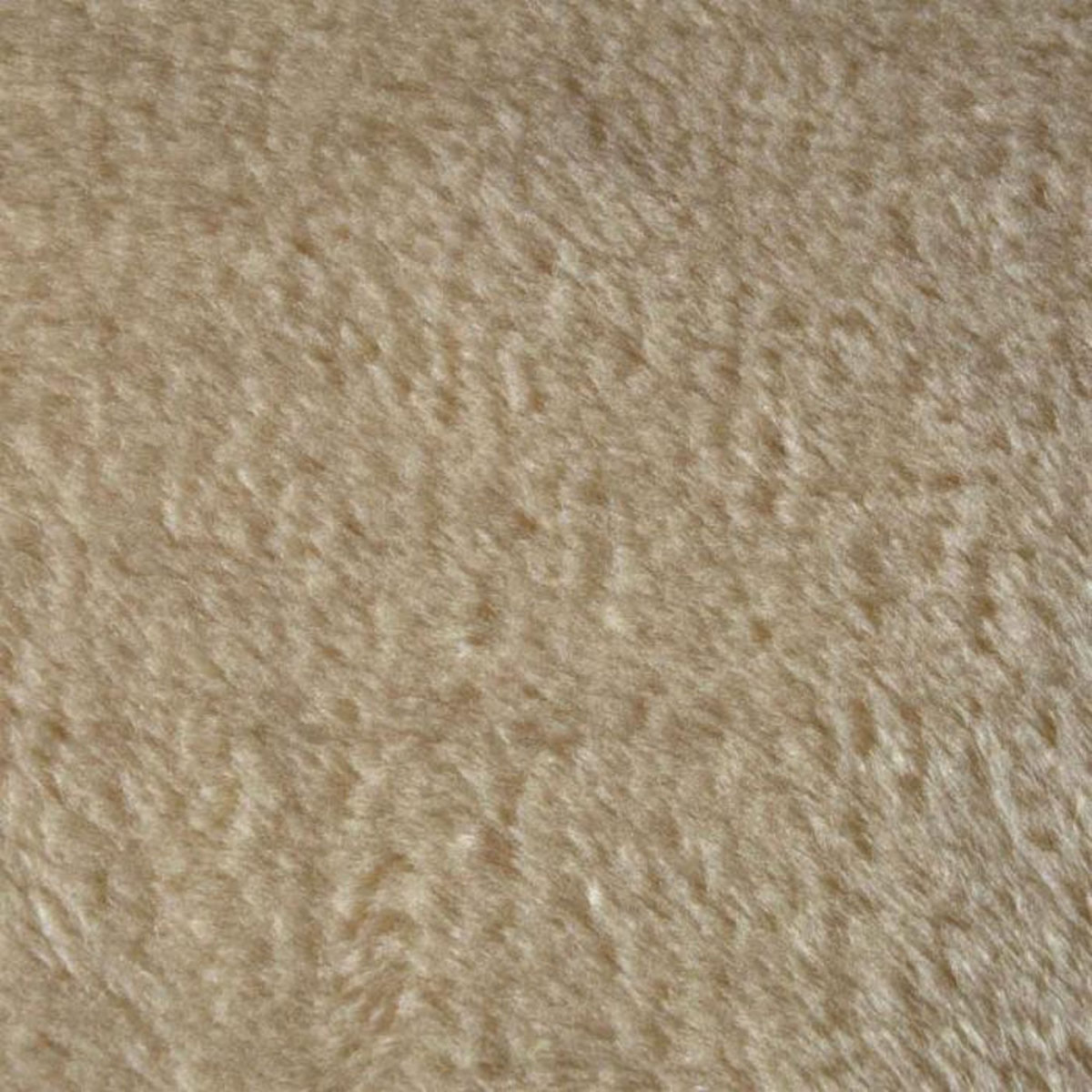 Paris Prix Arbre à Chat avec Tunnel  1 Plateforme  38cm Écru